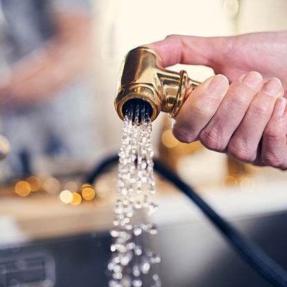 Shaws by Perrin & Rowe Hambleton Spray Rinse Mixer