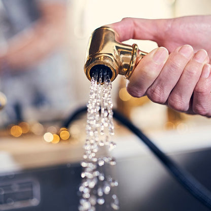 Shaws by Perrin & Rowe Pendleton Mixer with Spray Rinse